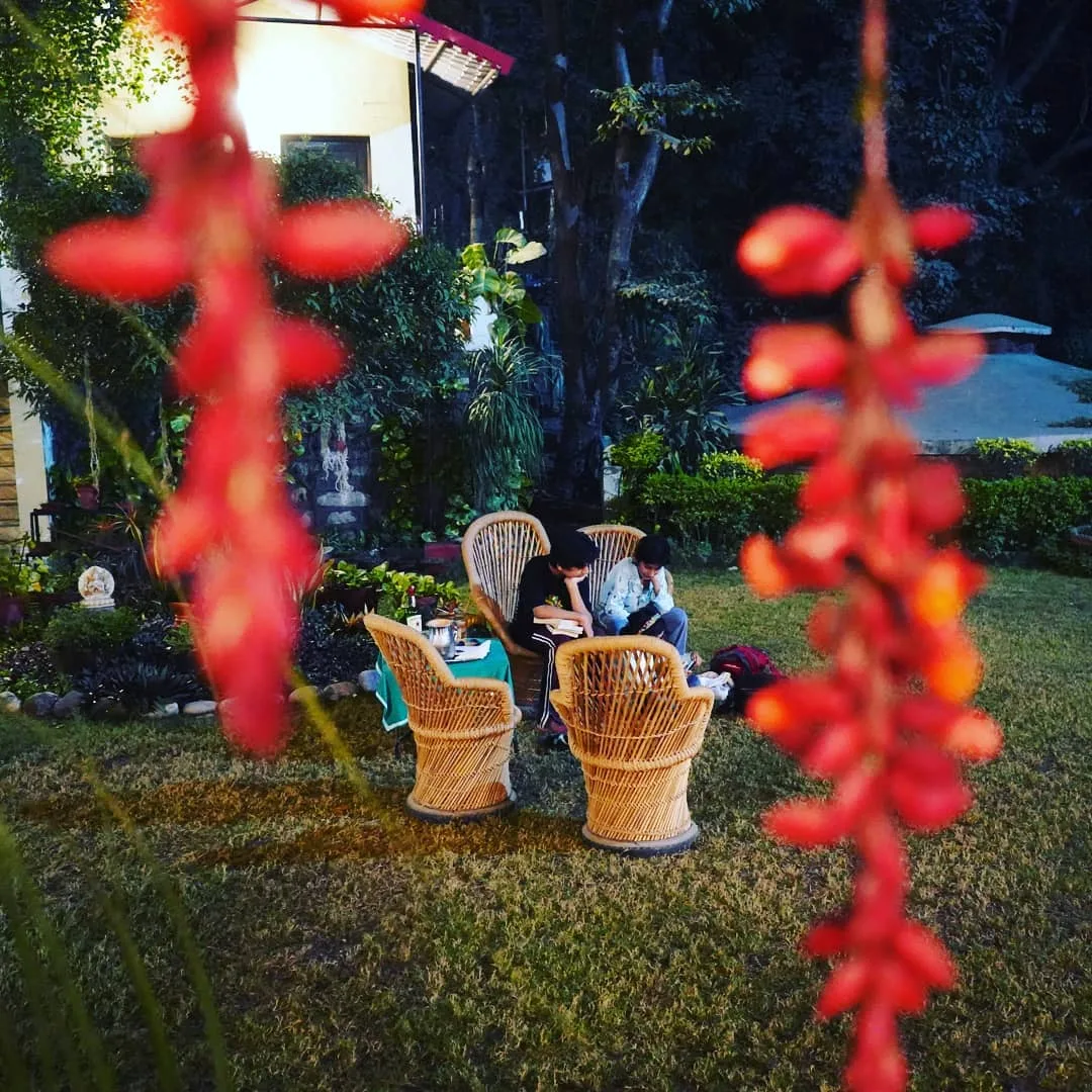 #books #reading #vacation #kids #uttarakhand #rishikesh #bokeh #photo #nature #flowers #flower #wanderlust #vanlife #photography #photo #travel #travelphotography #travelindia