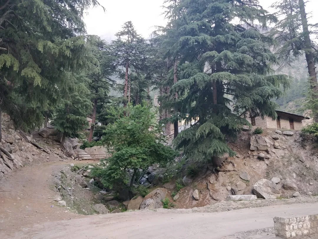 This is a very #scenic, #idyllic spot. I'm unable to capture its #beauty with my phone. There are some winding stairs, a narrow path, a stone cabin. A stream flows through the plac
