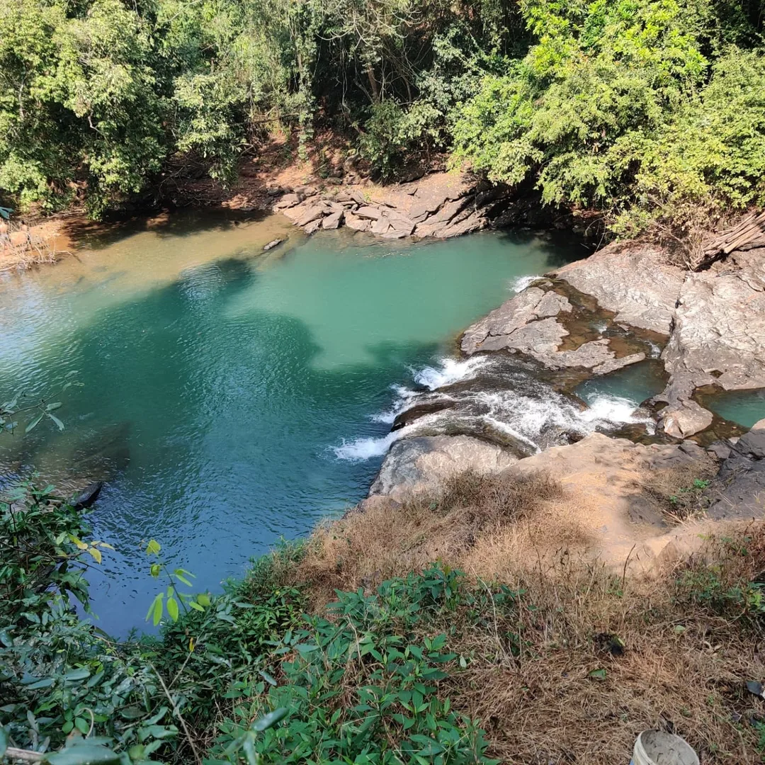 We went splashing in the Sanvordem waterfall today. Much fun, jumping into the cold water, and being chased by fishies trying to get a nibble at us. The trek was quite strenuous an