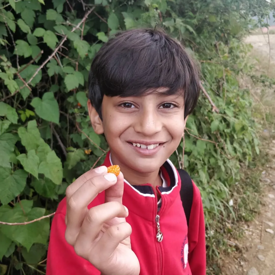 Our #guide is feeding us #wild #berries. They are amazingly #delicious.

The #rain has stopped and the #sun is out. Photos are brighter now.