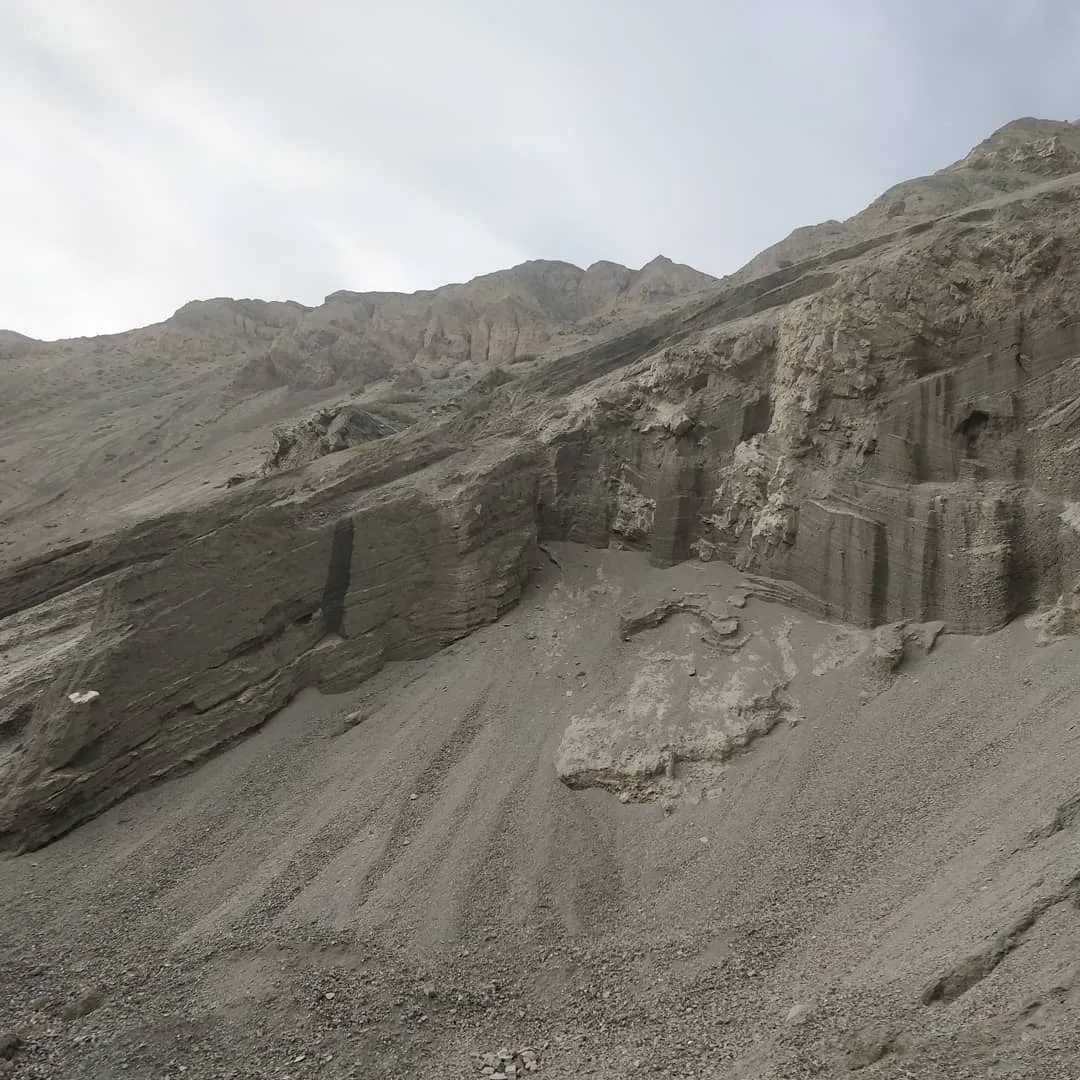 All kinds of rock reliefs. We captured maybe ten types. The area easily has over a hundred. This place is a geologist's dry dream.