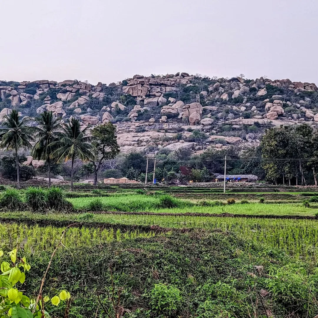 A far away view of our #campsite in #Hampi
