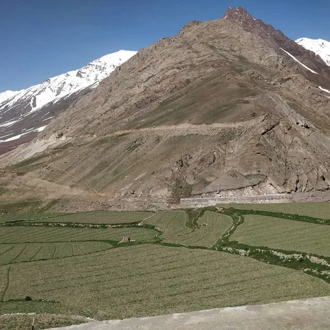 Sometimes you see a burst of green between the unrelenting rock and snow. And you know a river flows nearby. And a farme