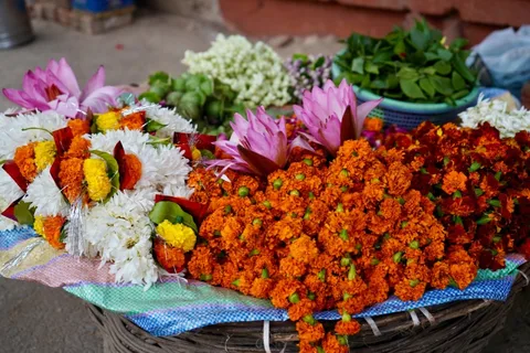 #varanasi #india #banaras #kashi #banarasi #travel #varanasidiaries #uttarpradesh #photography #benaras #ganga #incredib