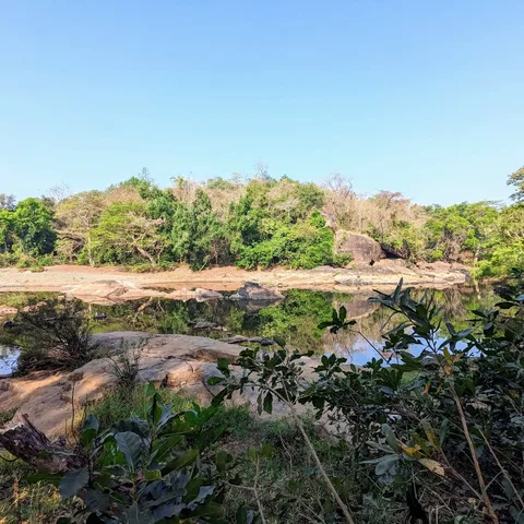 Over the weekend we went #camping in #Maharashtra, by the #Terekhol river.

I wish I'd taken a nicer picture of the beau