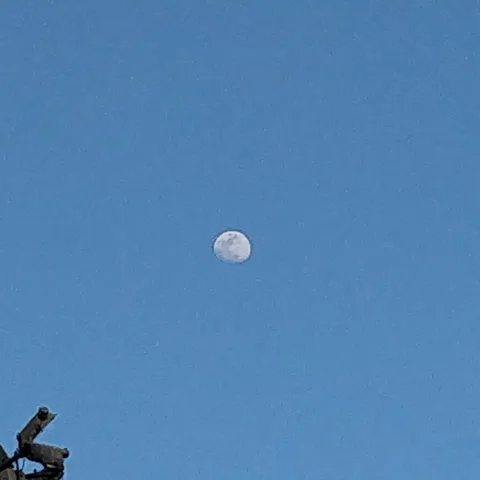#Bangalore has clear blue skies. Clean, breathable air. And frog face cameras staring at the moon. What more does one wa