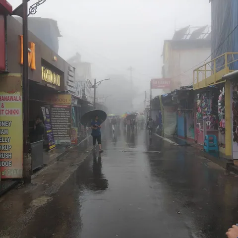 Not a huge fan of civilization, but sometimes markets can be nice and quaint. We'd all just bought ourselves raincoats a