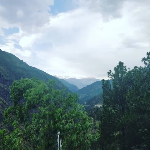 Our first view of #snowcappedmountains had the kids yelping with joy.

#roadtrip #HimachalTourism #HimachalPradesh #Jakh