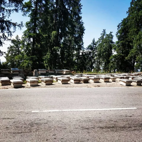 I thought these boxes were used to make concrete blocks. M1 correctly identified them as #bee keeping boxes. Zoom in and