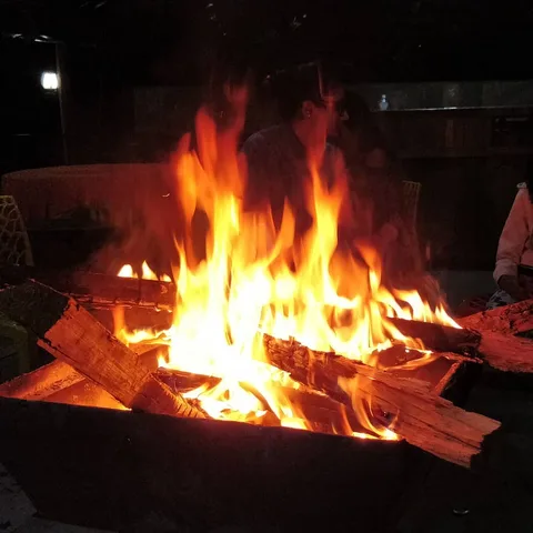 We have come to a resort near our campsite for dinner.

In every #campsite and #resort across India, #wood is #burned fo