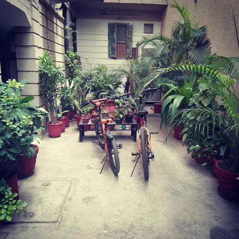 As I walk back home from work for lunch, I see cycles parked outside. And I say to myself, "Hmm, so the kids have visito