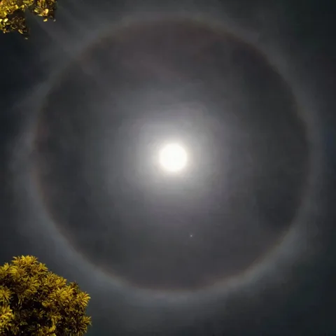 There's a halo around the moon tonight, if you look up at the sky. And the halo has a slight rainbow to it - reddish on 