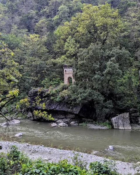 It's all just #forest and this #abutment.

Or at least I can frame things that way 😁

Insta insists on cropping the sky 