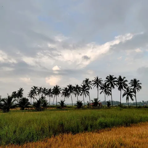 Went for a morning walk after many weeks. The sky was rather dramatic. And I met this interesting guy, Subodh Kerkar, wh