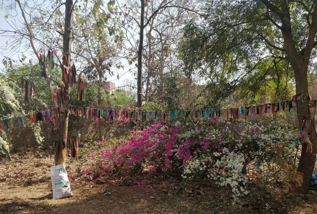 Peace and nature at Farm Fest