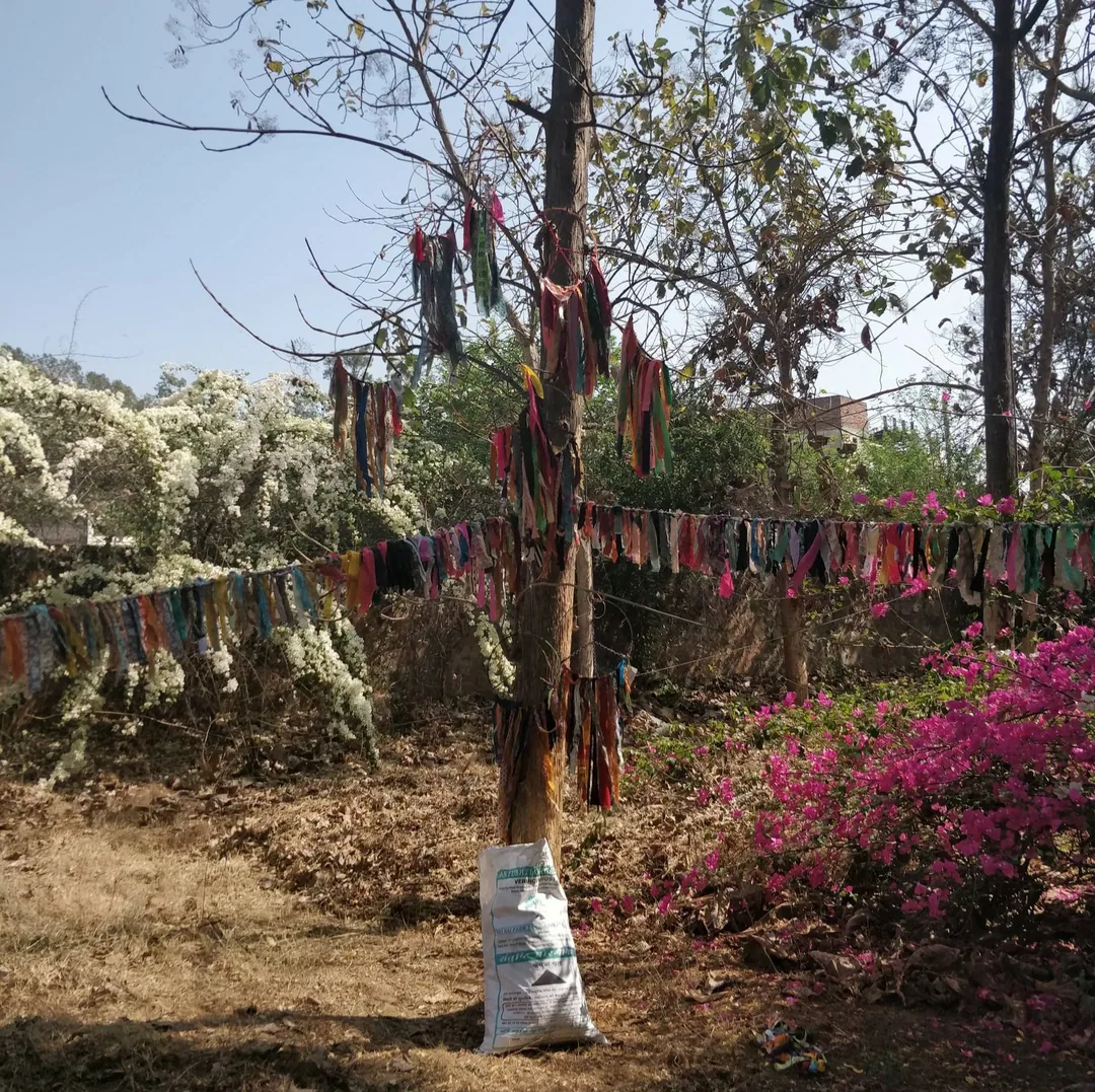 Peace and nature at Farm Fest