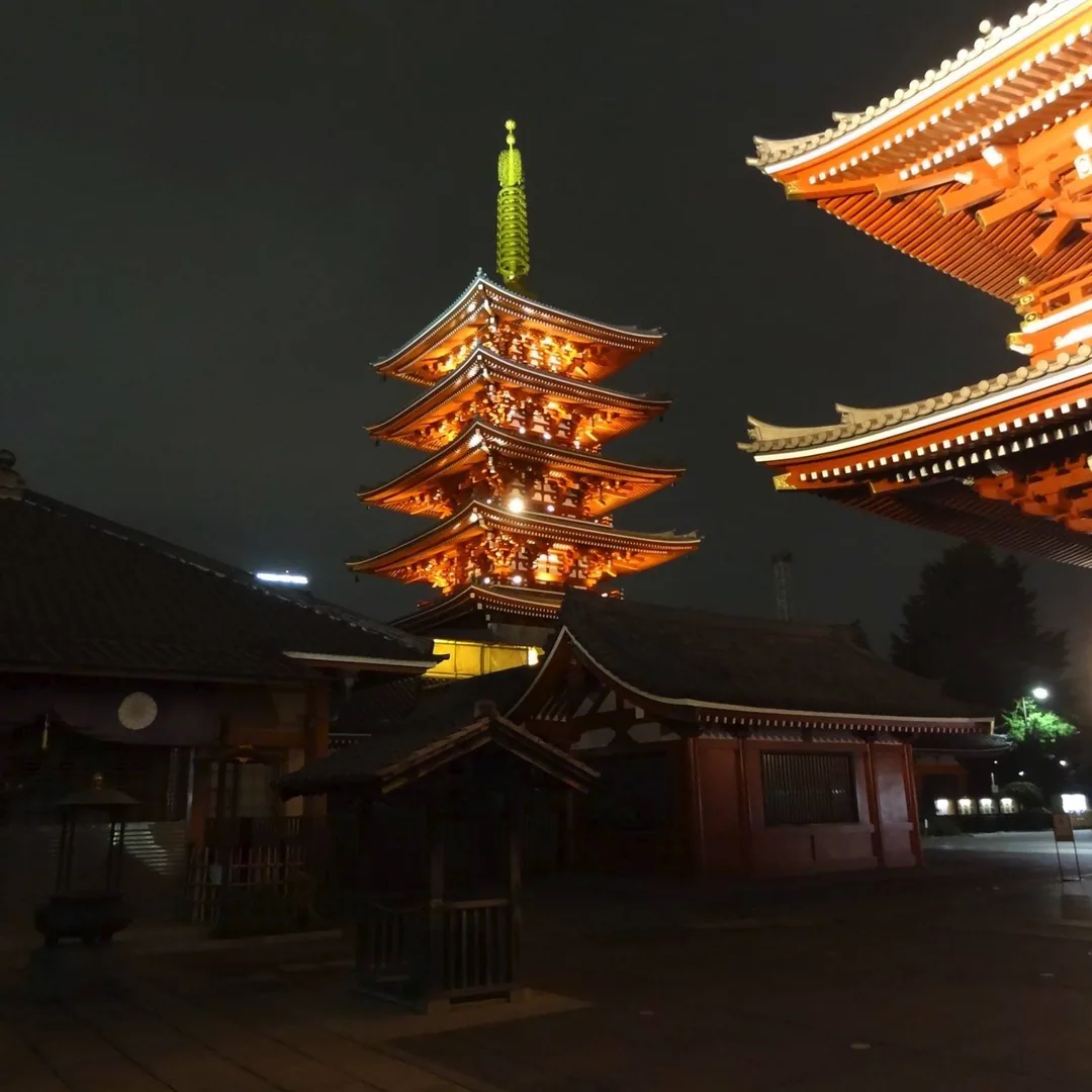 Tokyo really does come alive at night.