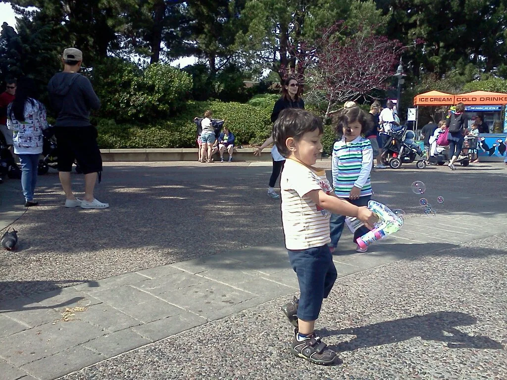 Bubble fun at Sea World