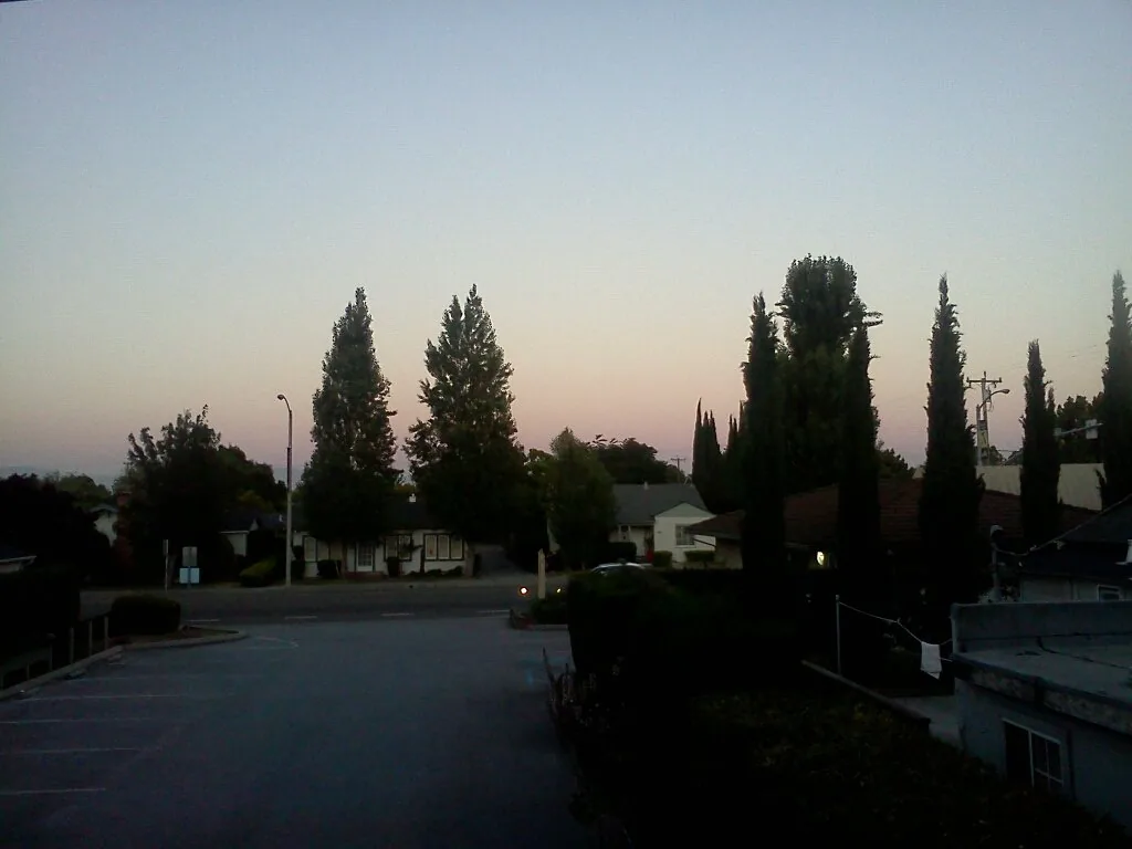 Pink California sunset
