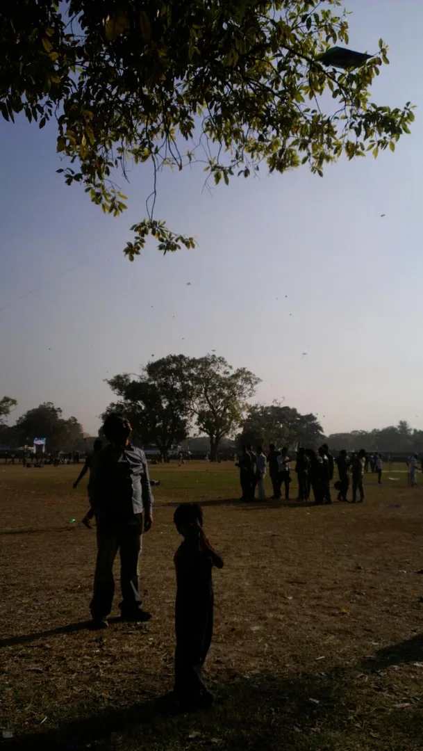 Kite flying ... But less flying, more tangling