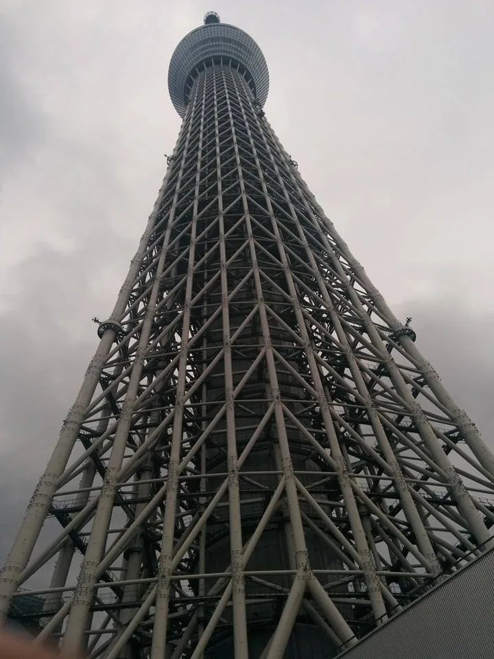 Don't do it don't do it don't do it. Remember you're petrified of heights!