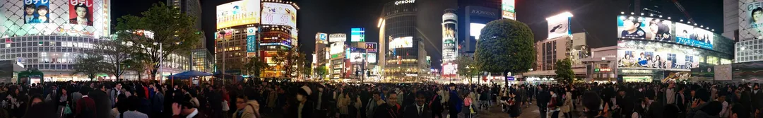 Move over Times Square. All those photos you see of flashy Japan growing up - suddenly in my face. Astounding!