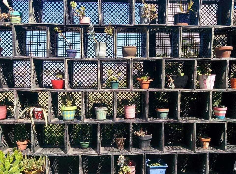 Crate and flower