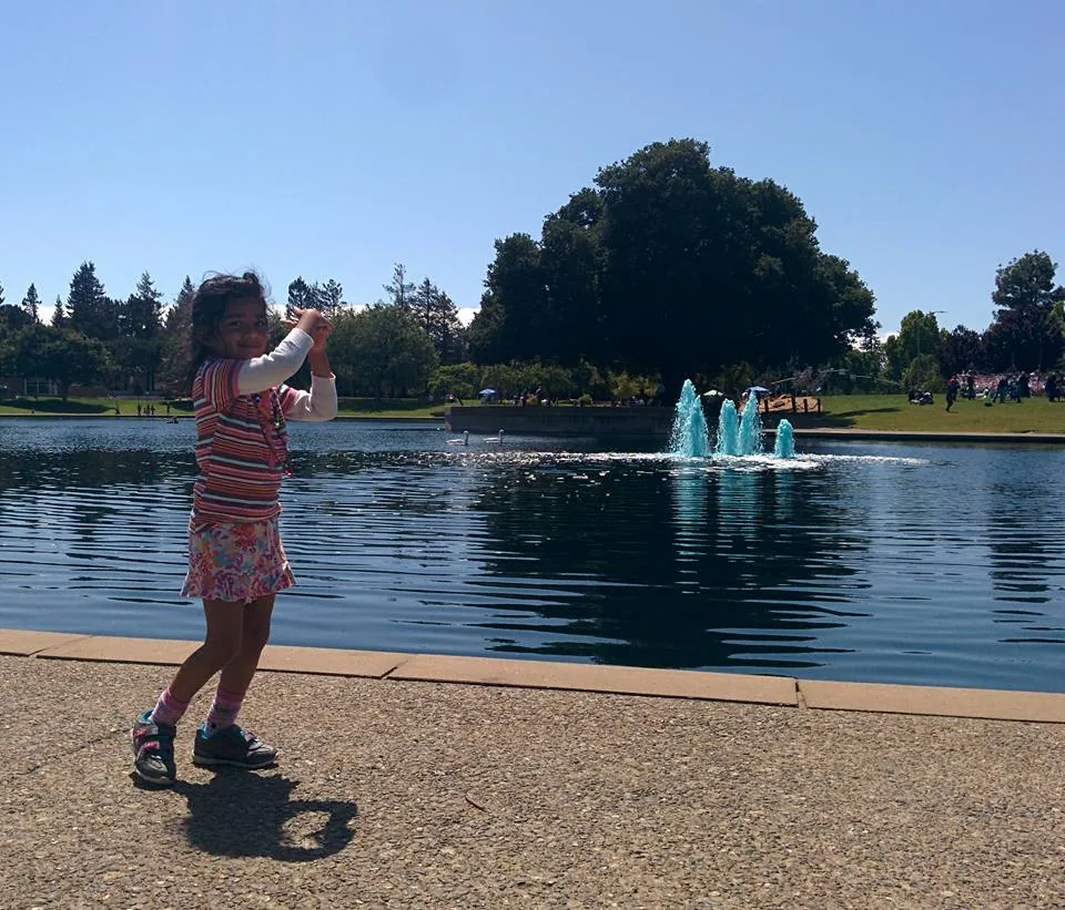 Meethi says swans are unicorns. She might be right.