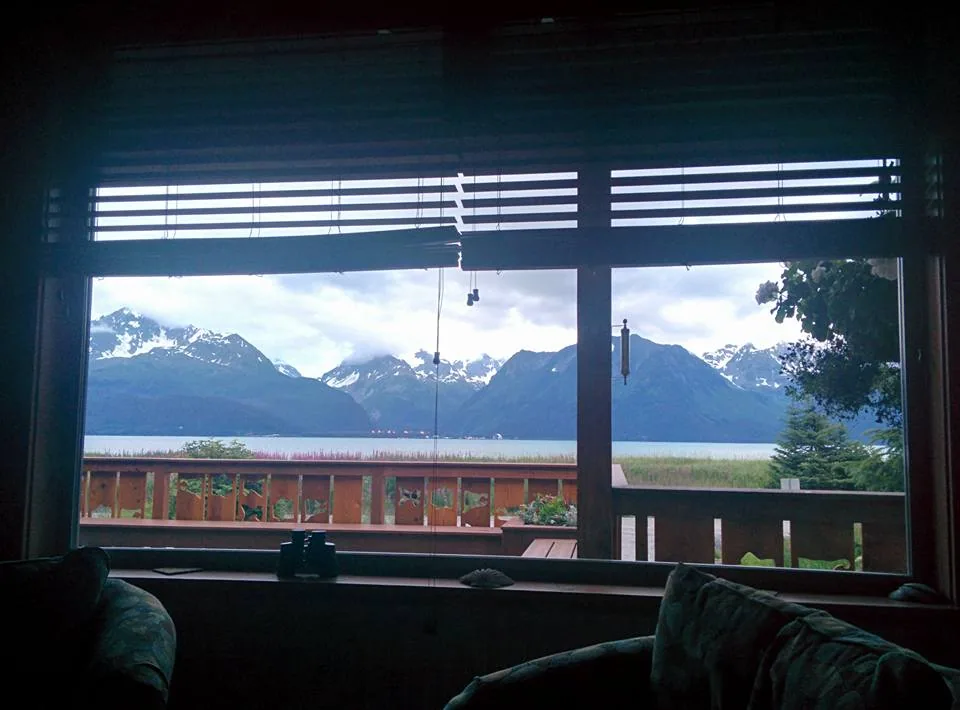 View from my bed. Not too shabby, eh?

If you're going to fall (mildly) sick on a trip, let the trip be to Alaska. With 