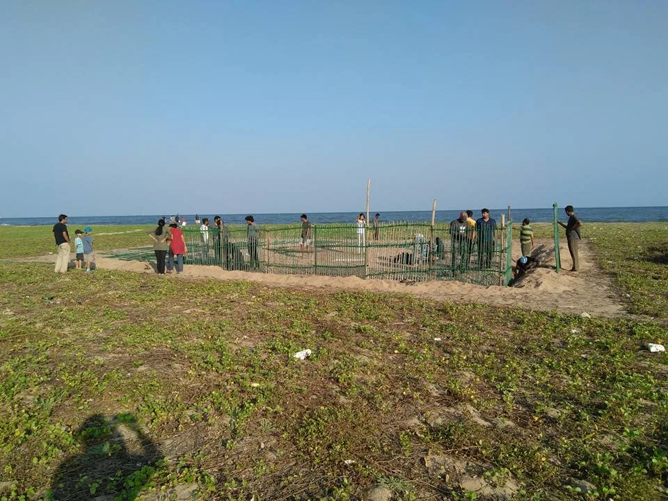 Our quick visit to the beach to help in cleanup. A big thanks to Nityanand for pointing us that way. It was good meeting