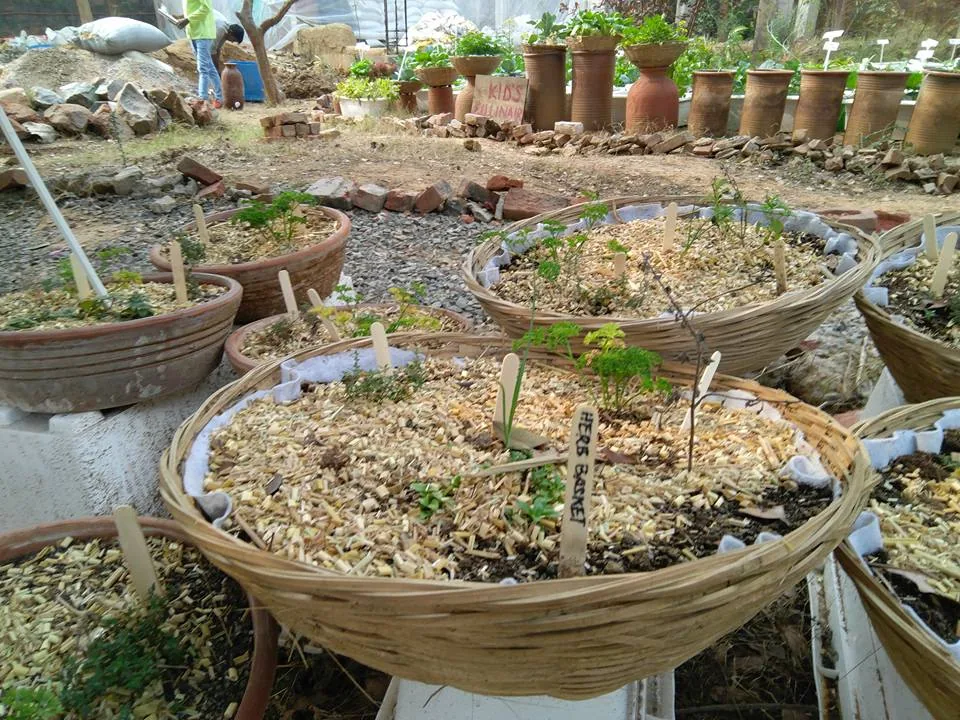 What an amazing place, right within Delhi. And such a wonderful workshop covering everything from planting, composting, 