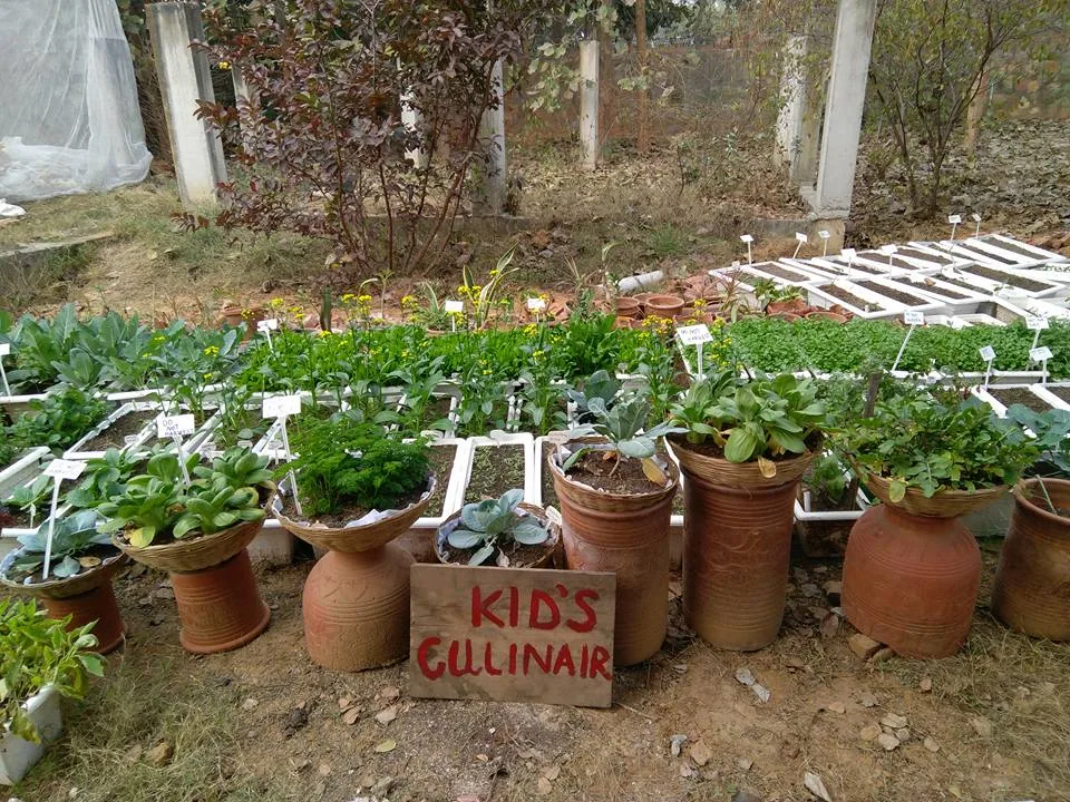 What an amazing place, right within Delhi. And such a wonderful workshop covering everything from planting, composting, 