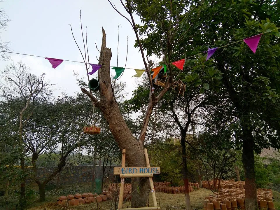 What an amazing place, right within Delhi. And such a wonderful workshop covering everything from planting, composting, 