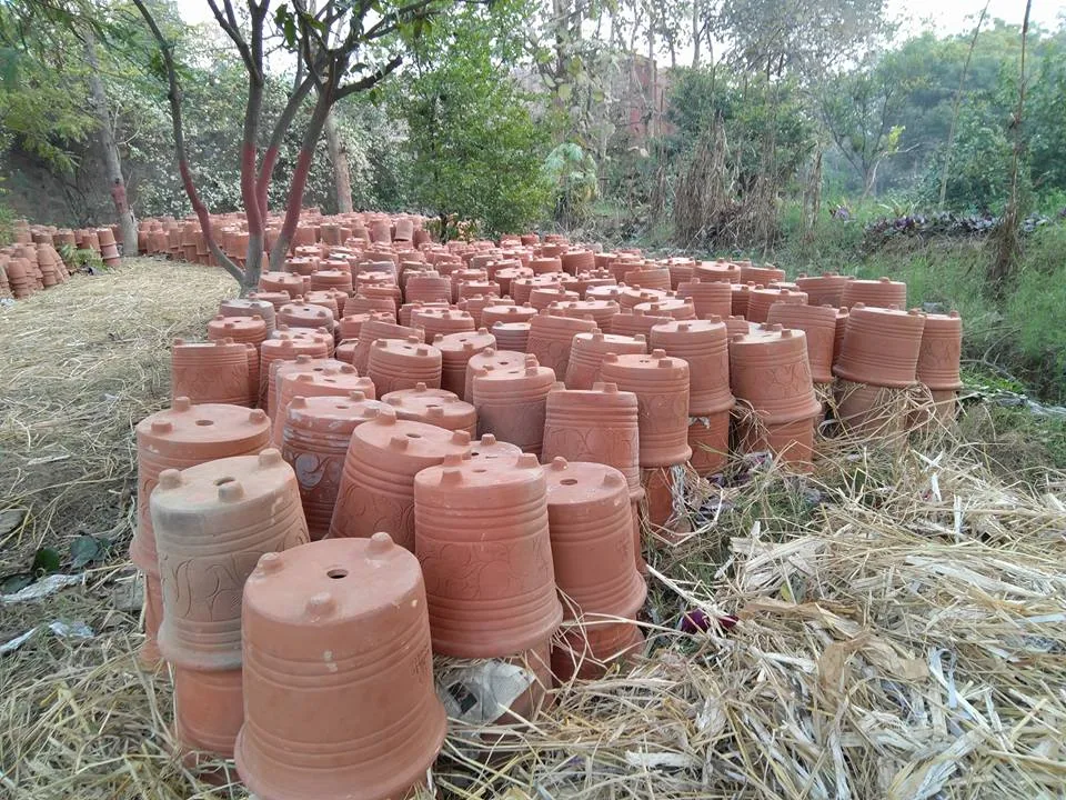 What an amazing place, right within Delhi. And such a wonderful workshop covering everything from planting, composting, 