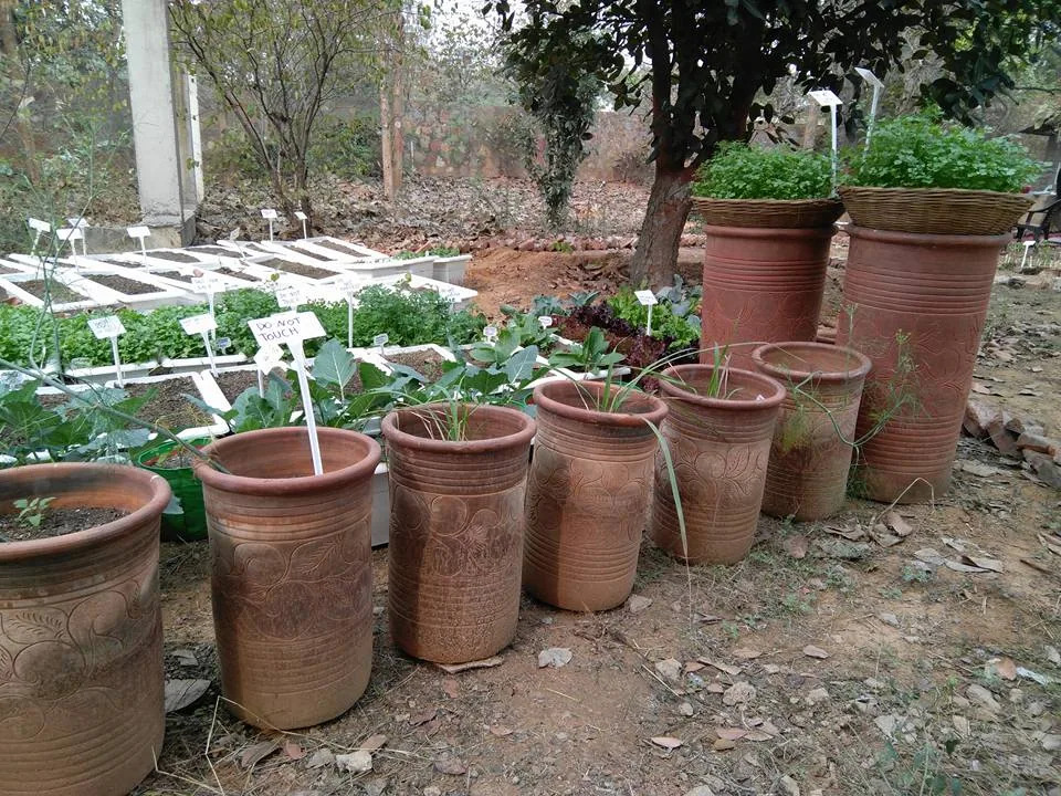 What an amazing place, right within Delhi. And such a wonderful workshop covering everything from planting, composting, 