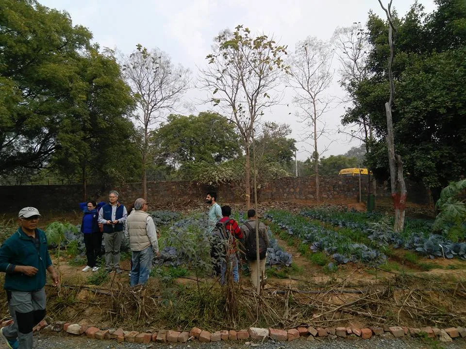 What an amazing place, right within Delhi. And such a wonderful workshop covering everything from planting, composting, 