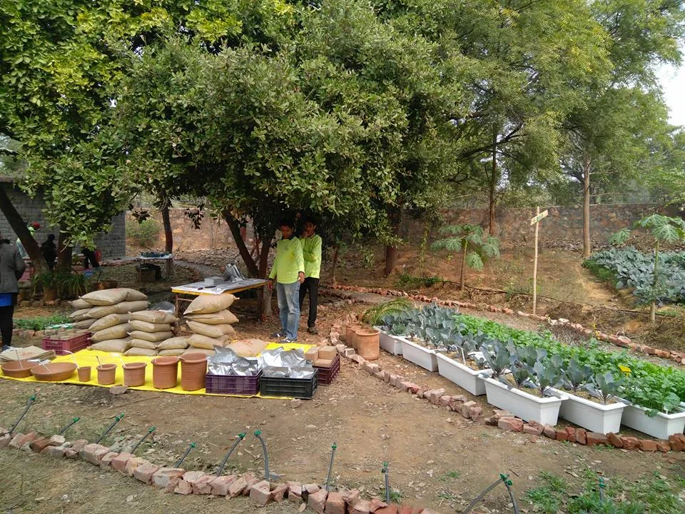 What an amazing place, right within Delhi. And such a wonderful workshop covering everything from planting, composting, 