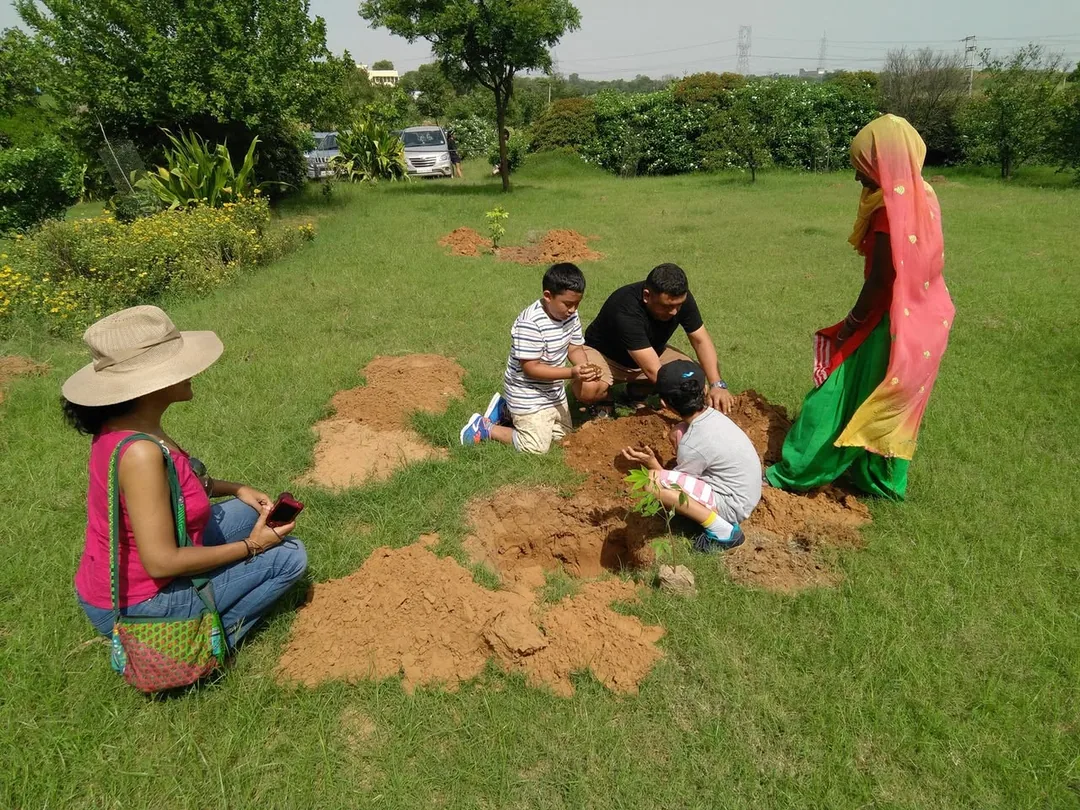 Only two trees per family. So my only contribution has been photography.