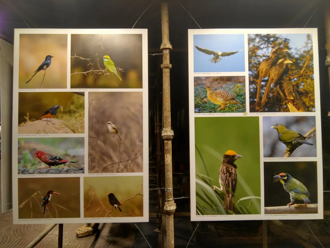 Nothing catches our attention like beautiful birds do.

At the Habitat Center, a group of organisations is running an ex