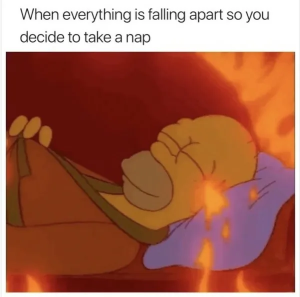 Me, when life gets too chaotic...