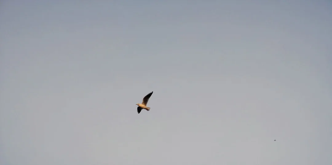 You'll need to watch the video in full screen to appreciate what is going on.