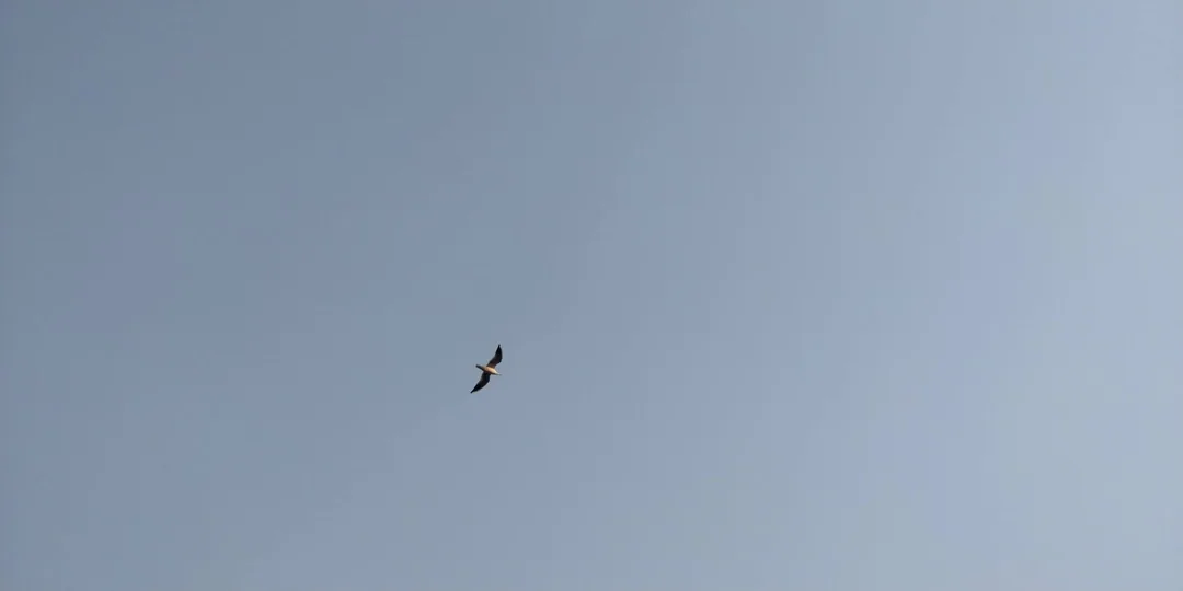 You'll need to watch the video in full screen to appreciate what is going on.