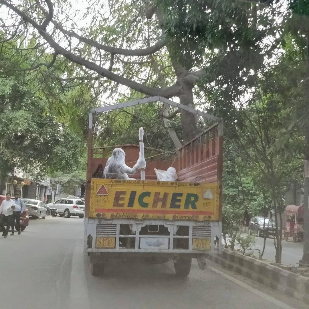 Strange cargo on the truck in front of me. I did a double take.