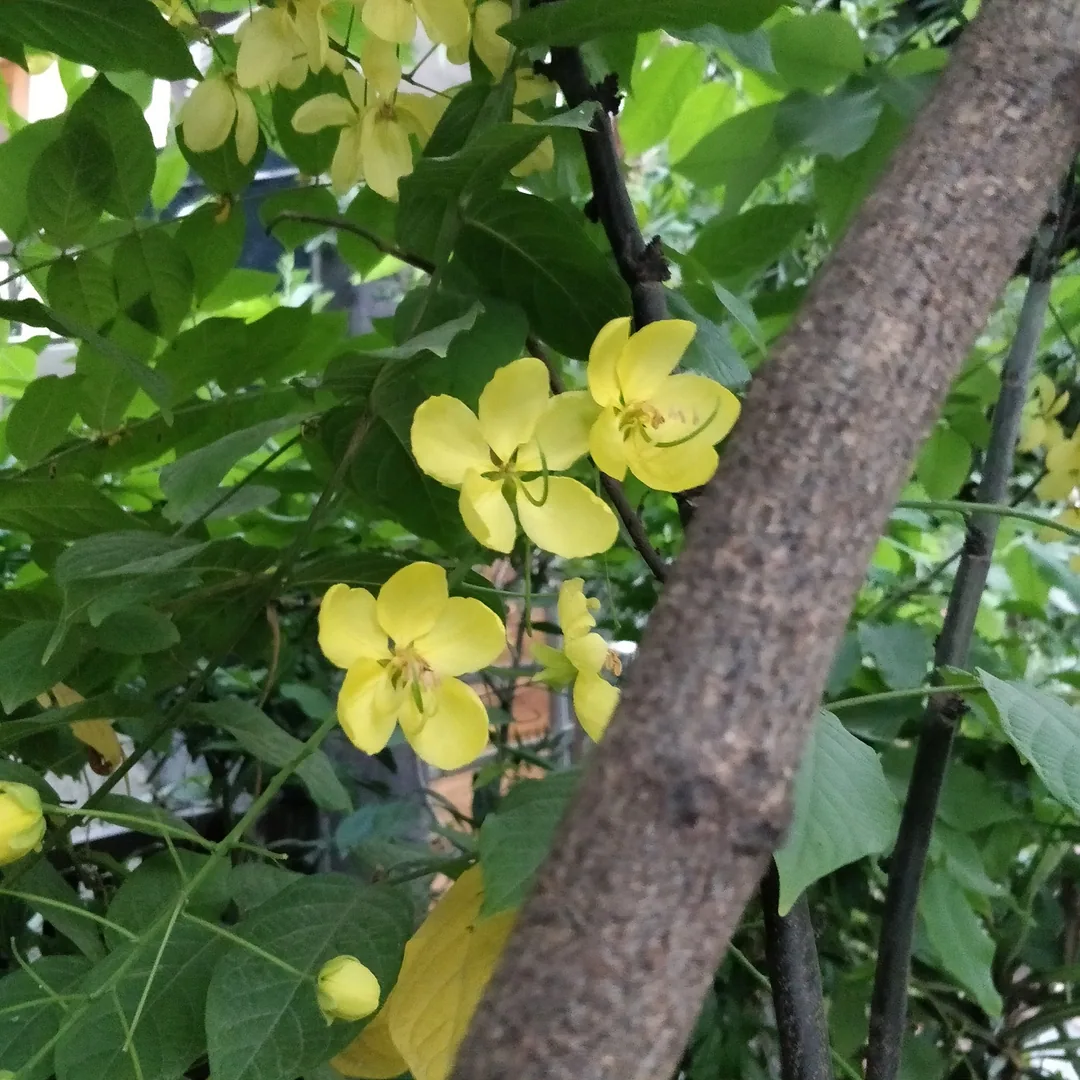 à¤à¤° à¤à¥ à¤à¥à¤¤à¥