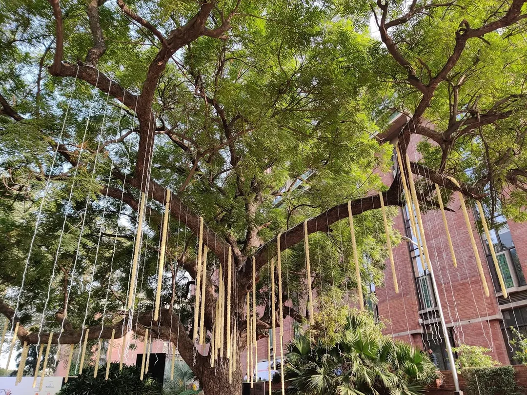 Raahgiri: free
Woodpecker film festival: free
ASI Children's Museum: free
Times Lit-fest: free
Metro and auto fares: che