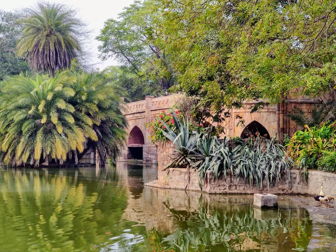 We made it to Lodhi Garden but didn't find any tulips.

We stopped on the way at roundabouts to admire them, but the cop