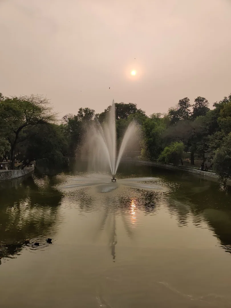 We made it to Lodhi Garden but didn't find any tulips.

We stopped on the way at roundabouts to admire them, but the cop