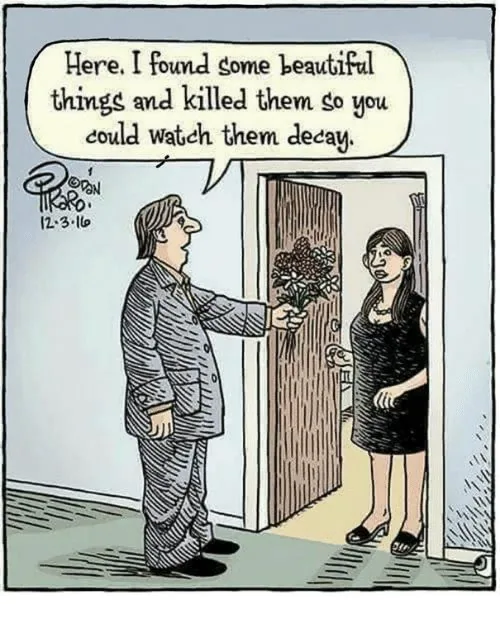 Apparently, long ago, I shared a cartoon with Nandini. It had a guy telling a woman while holding out a bouquet "Here, I