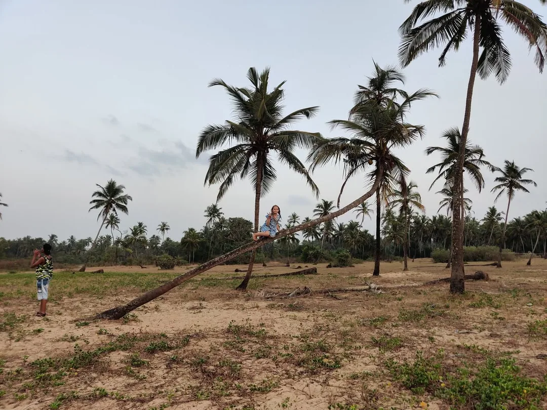 Climbing, jumping, Barefoot