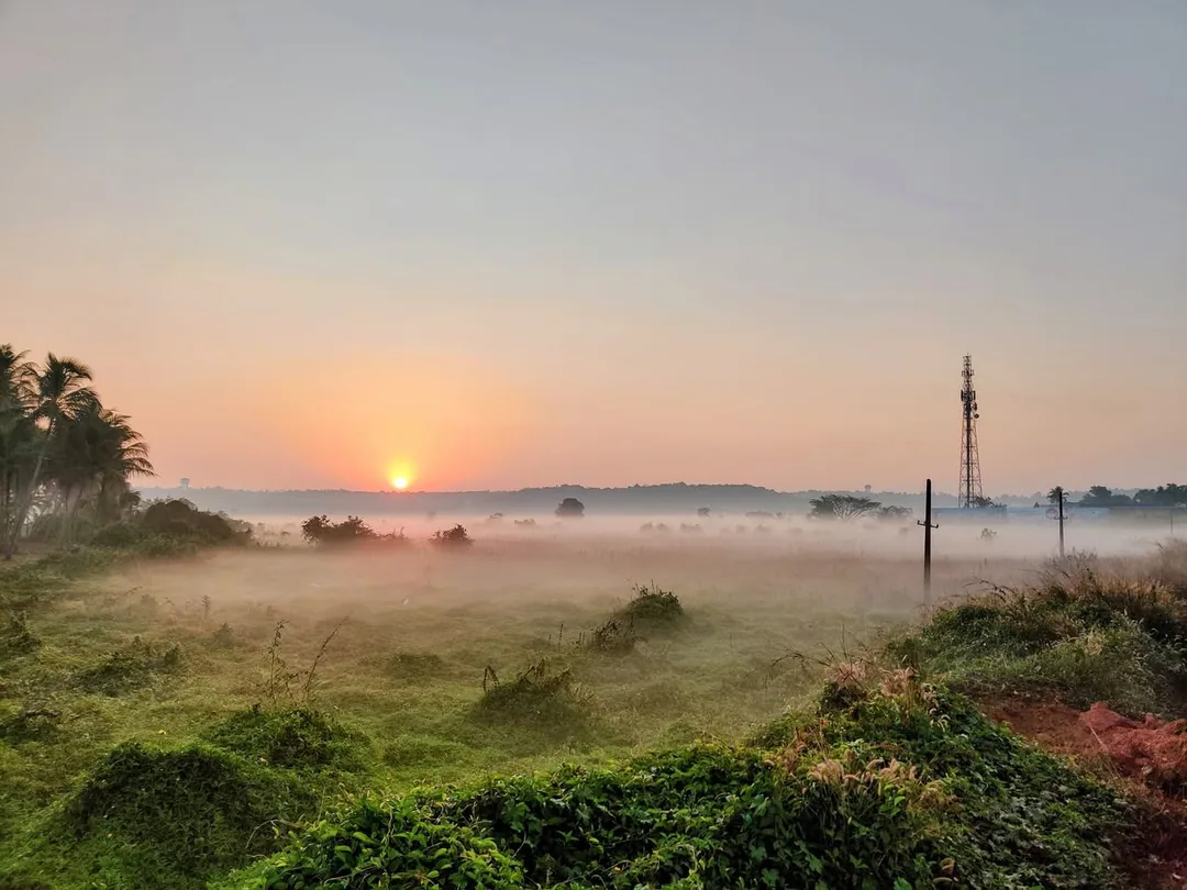 A foggy morning in paradise